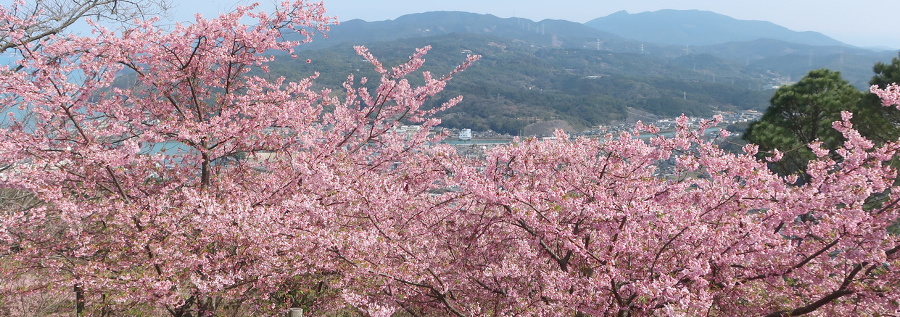 今月のトップページ画像